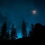 roberto nickson daue q425nu unsplash
